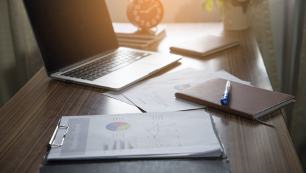 Feasibility and viability studies